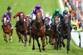 The Importance of Horse Racing Tipster Services